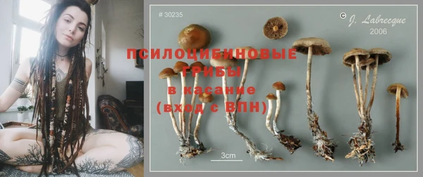 хмурый Белокуриха