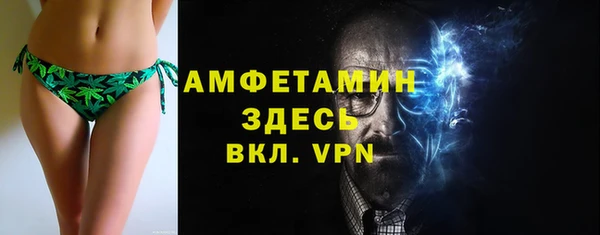 хмурый Белокуриха
