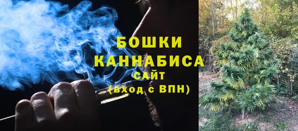 хмурый Белокуриха
