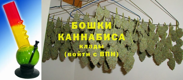 хмурый Белокуриха