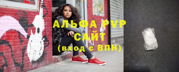 хмурый Белокуриха