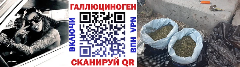 Галлюциногенные грибы прущие грибы  купить наркоту  Семикаракорск 